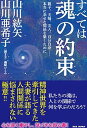 【中古】すべては魂の約束 親子 夫婦 友人 自分自身-本当に幸せな関係を築く /BABジャパン/山川紘矢（単行本）