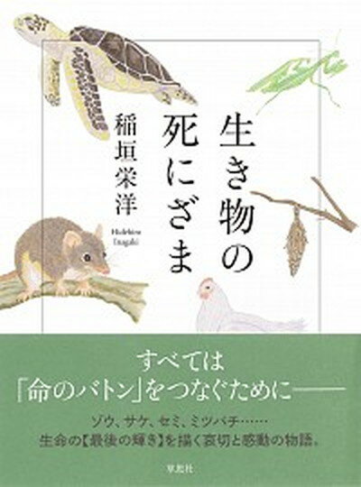 【中古】生き物の死にざま /草思社/稲垣栄洋（単行本）