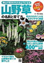 【中古】山野草の名前と育て方 野山で見分けられるようになる /日東書院本社/早川滿生（単行本（ソフトカバー））