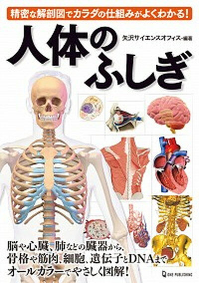 楽天VALUE BOOKS【中古】人体のふしぎ 精密な解剖図でカラダの仕組みがよくわかる！ /ワン・パブリッシング/矢沢サイエンスオフィス（単行本）