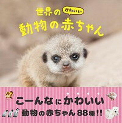 楽天VALUE BOOKS【中古】世界のかわいい動物の赤ちゃん /パイインタ-ナショナル/パイインターナショナル（単行本（ソフトカバー））