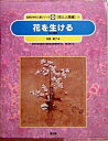 【中古】花を生ける 花と芸術/農山漁村文化協会/安達とう子(大型本)