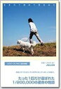 【中古】生まれて初めて空をみた セラピ-犬〈ゆき〉誕生物語 /ジュリアン/ジュリアン(単行本)