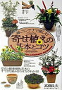【中古】寄せ植えの基本とコツ 鉢、コンテナで楽しむ /大泉書店/高柳良夫(単行本)