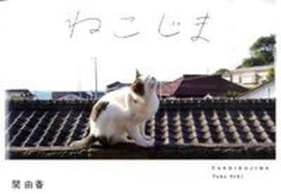 yÁz˂ TASHIROJIMA /uCgo/֗RiPs{j