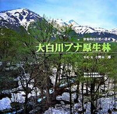 【中古】大白川ブナ原生林 世界的な自然の遺産/岐阜新聞社/小野木三郎（単行本）