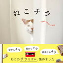 【中古】ねこチラ /パイインタ-ナショナル/パイインターナショナル(単行本(ソフトカバー))
