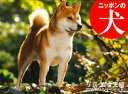 【中古】ニッポンの犬カレンダ- 2016 /平凡社/岩合光昭(大型本)