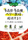 【中古】多品目・多品種ベリー栽培で成功する!!小さな農業と6次産業化 ベリーの栽培・加工・販売がわかる /誠文堂新光社/小尾能敏(単行本)