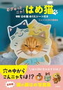 【中古】むぎゅっとニャ！はめ猫 特製はめ猫ぬりえシート付き/宝島社/ニャンコLOVE委員会（単行本（ソフトカバー））