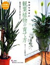 【中古】わかりやすい観葉植物の育て方 栽培の基本から寄せ植えまで /大泉書店/小川恭弘(単行本)