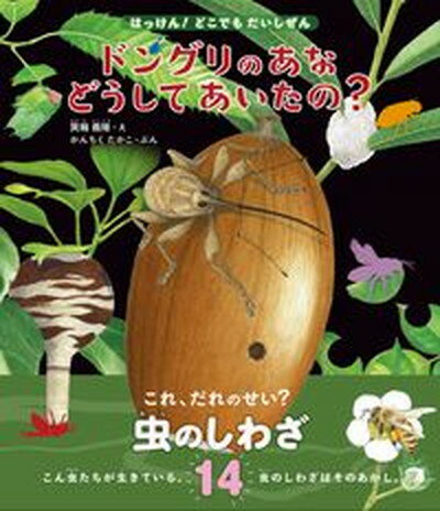 【中古】ドングリのあなどうしてあいたの？ これ、だれのせい？虫のしわざ14 /文一総合出版/箕輪義隆（大型本）