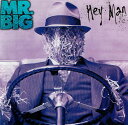【中古】HEYMAN/MR.BIG