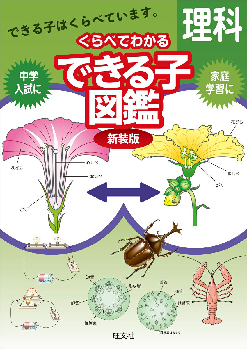 [Used] Illustrated Encyclopedia of Science for Children: New Edition / Obunsha / Obunsha (Paperback)