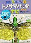 【中古】昆虫ナビずかん かならずみつかる！ 2/旺文社（大型本）