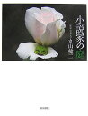 【中古】小説家の庭/朝日新聞出版/丸山健二(単行本)