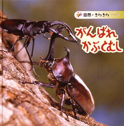 【中古】がんばれかぶとむし/偕成社/久保秀一（大型本）