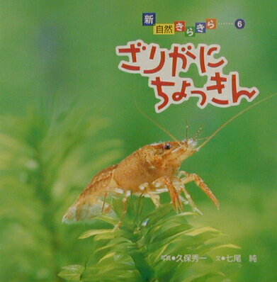 ◆◆◆カバーに日焼けがあります。中古ですので多少の使用感がありますが、品質には十分に注意して販売しております。迅速・丁寧な発送を心がけております。【毎日発送】 商品状態 著者名 久保秀一、七尾純 出版社名 偕成社 発売日 2002年11月 ISBN 9784033442600