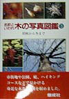 【中古】名前といわれ木の写真図鑑 3/偕成社/杉村昇（単行本）