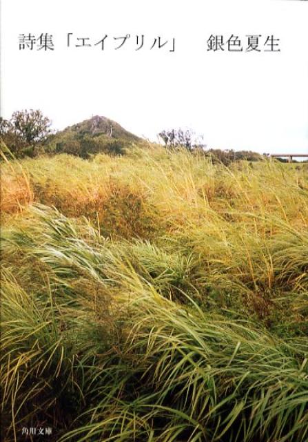 ����šۥ����ץ�� ����/�����Ź/�俧������ʸ�ˡ�