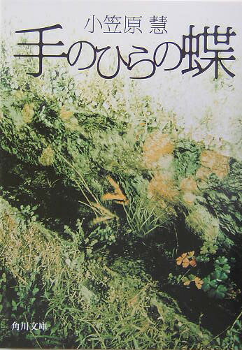 【中古】手のひらの蝶/角川書店/小笠原慧（文庫）