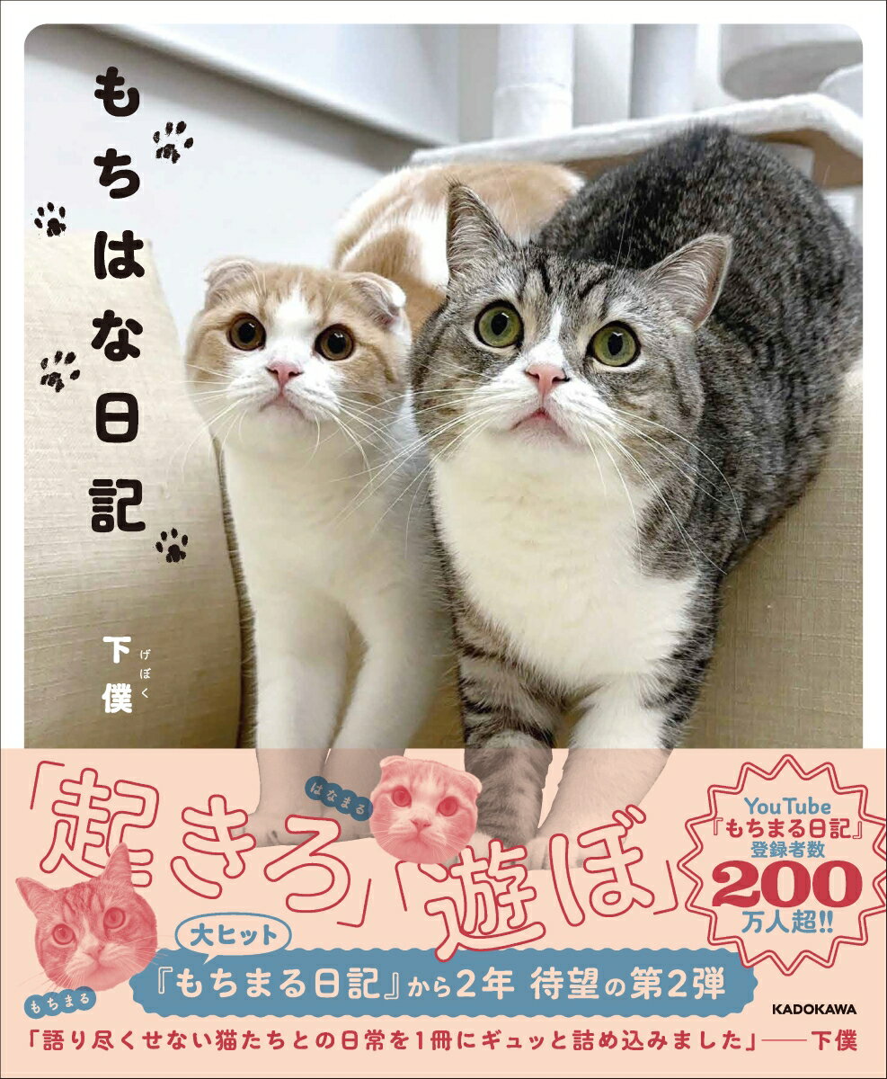 【中古】もちはな日記/KADOKAWA/下僕（単行本）