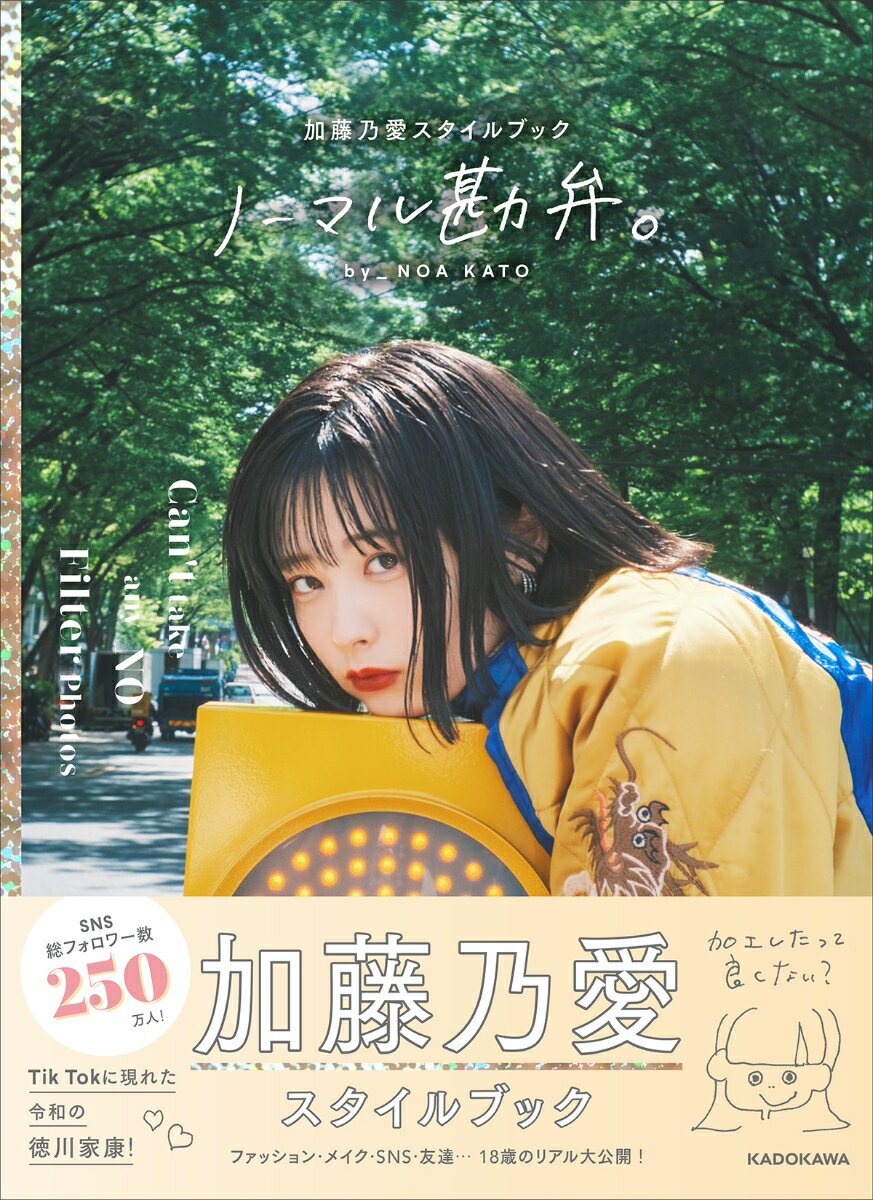【中古】ノーマル勘弁。 加藤乃愛スタイルブック/KADOKAWA/加藤乃愛（単行本）