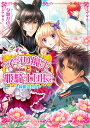 【中古】子守り魔王と姫騎士団長 緑眼の咎人/エンタ-ブレイン/夕鷺かのう(文庫)
