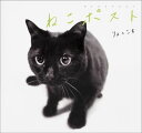 【中古】ねこポスト/KADOKAWA/りょっころ(単行本)