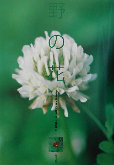 【中古】野の花/角川書店/浅川トオル（単行本）