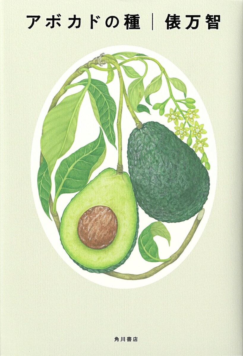 【中古】アボカドの種/角川文化振興財団/俵万智（単行本）