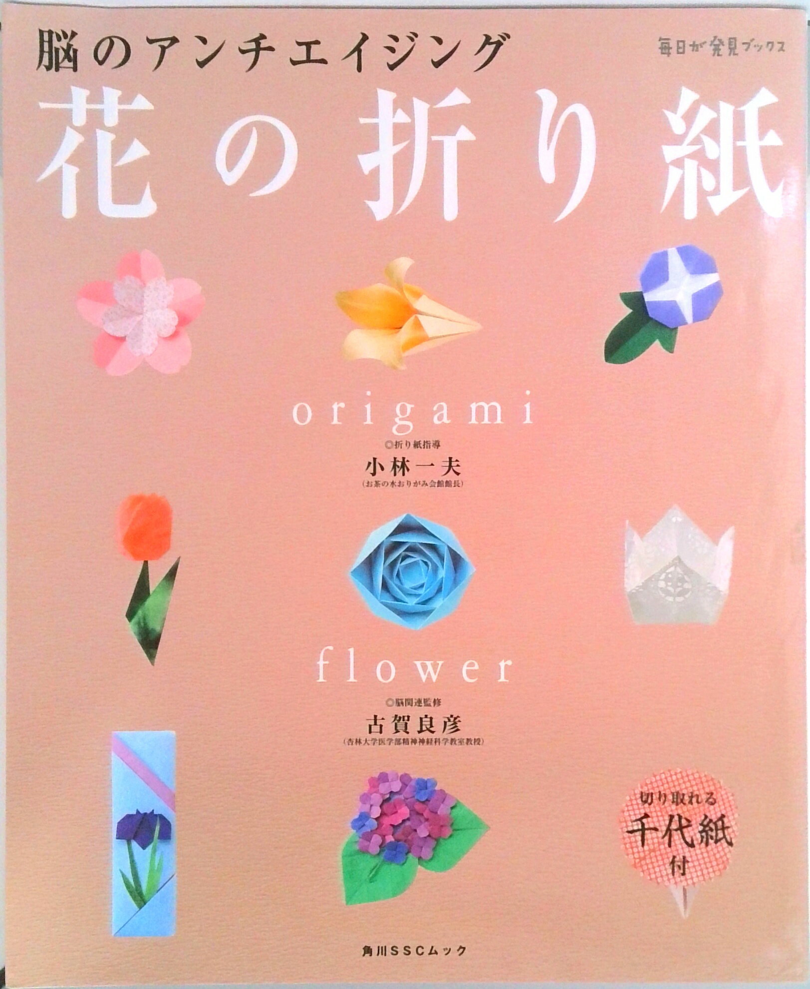 š۲֤ޤ ǾΥ/KADOKAWA/Ӱסޤˡʥå