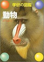 【中古】動物 新訂版/Gakken（単行本）