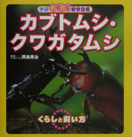 【中古】カブトムシ・クワガタムシ くらしと飼い方/Gakken/岡島秀治（大型本）