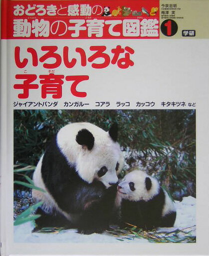图鑑, 知识 - 【中古】おどろきと感動の動物の子育て図鑑 1/Gakken/今泉忠明（大型本）