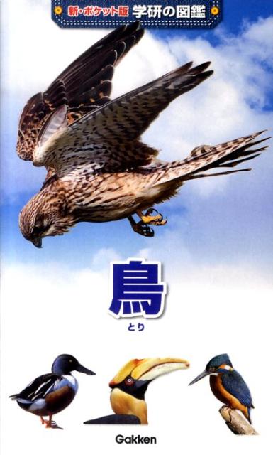 Pictorial Books, Knowledge - 【中古】鳥 増補改訂版/学研教育出版/小宮輝之（単行本（ソフトカバー））