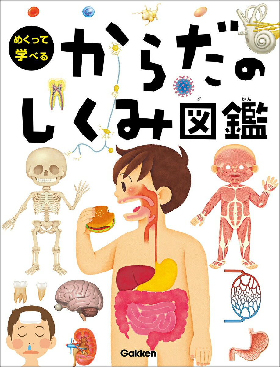 【中古】からだのしくみ図鑑/Gakken/阿部和厚（単行本）