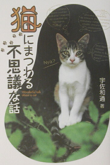 【中古】猫にまつわる不思議な話/Gakken/宇佐和通（単行本）