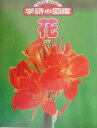 【中古】花/Gakken(大型本)