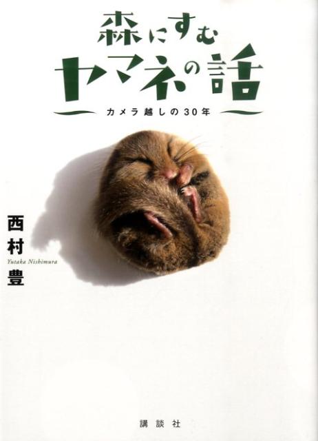 【中古】森にすむヤマネの話 カメラ越しの30年/講談社/西村豊（単行本）