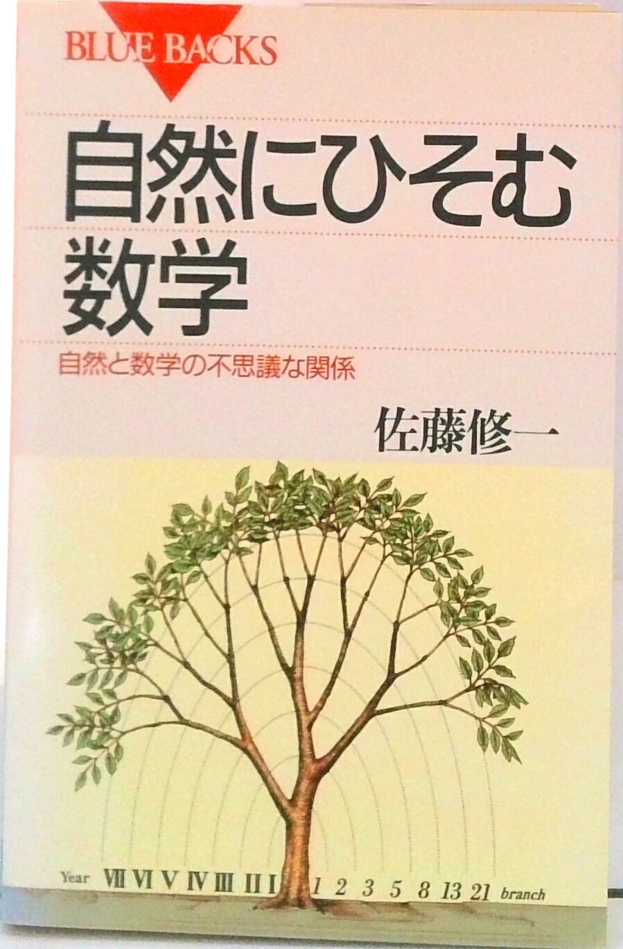 【中古】自然にひそむ数学 自然と数学の不思議な関係/講談社/佐藤修一（新書）