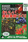 【中古】はじめてでも簡単おいしい家庭果樹づくり 決定版/講談社/大森直樹（果樹園芸研究家）（単行本（ソフトカバー））