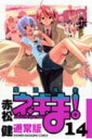 【中古】魔法先生ネギま! 14/講談社/赤松健(コミック)