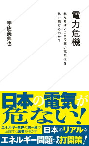 【中古】電力危機 私たちはいつまで高い電気代を払い続けるのか?/星海社/宇佐美典也(新書)