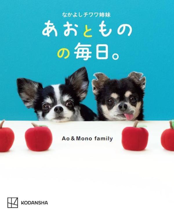 ◆◆◆非常にきれいな状態です。中古商品のため使用感等ある場合がございますが、品質には十分注意して発送いたします。 【毎日発送】 商品状態 著者名 Ao＆Mono　family 出版社名 講談社 発売日 2023年06月21日 ISBN 9784065327098