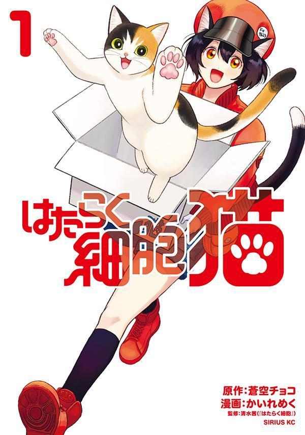 はたらく細胞猫 1/講談社/かいれめく（コミック）