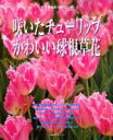 【中古】すてきなガ-デニング咲いたチュ-リップかわいい球根草花/主婦の友社(ムック)