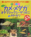 【中古】たのしいカメ・メダカ・オタマジャクシ・ザリガニ・ヤドカリ 飼い方がすぐわかる写真とイラスト満載! オ-ルカラ/主婦の友社/山崎浩二(単行本)