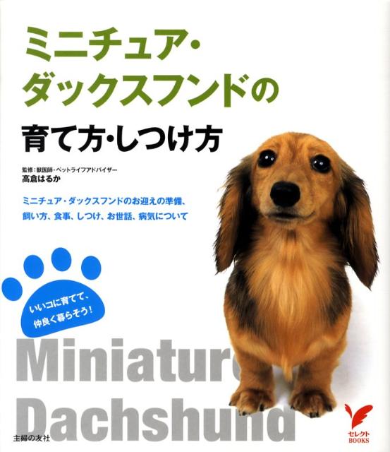 【中古】ミニチュア・ダックスフンドの育て方・しつけ方/主婦の友社/主婦の友社（単行本）
