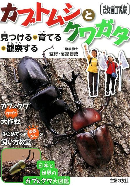 【中古】カブトムシとクワガタ 見つける・育てる・観察する 改訂版/主婦の友社/高家博成（単行本（ソフトカバー））